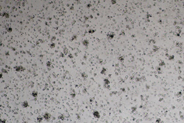 Kit 3.0.png Kit 3.0.png